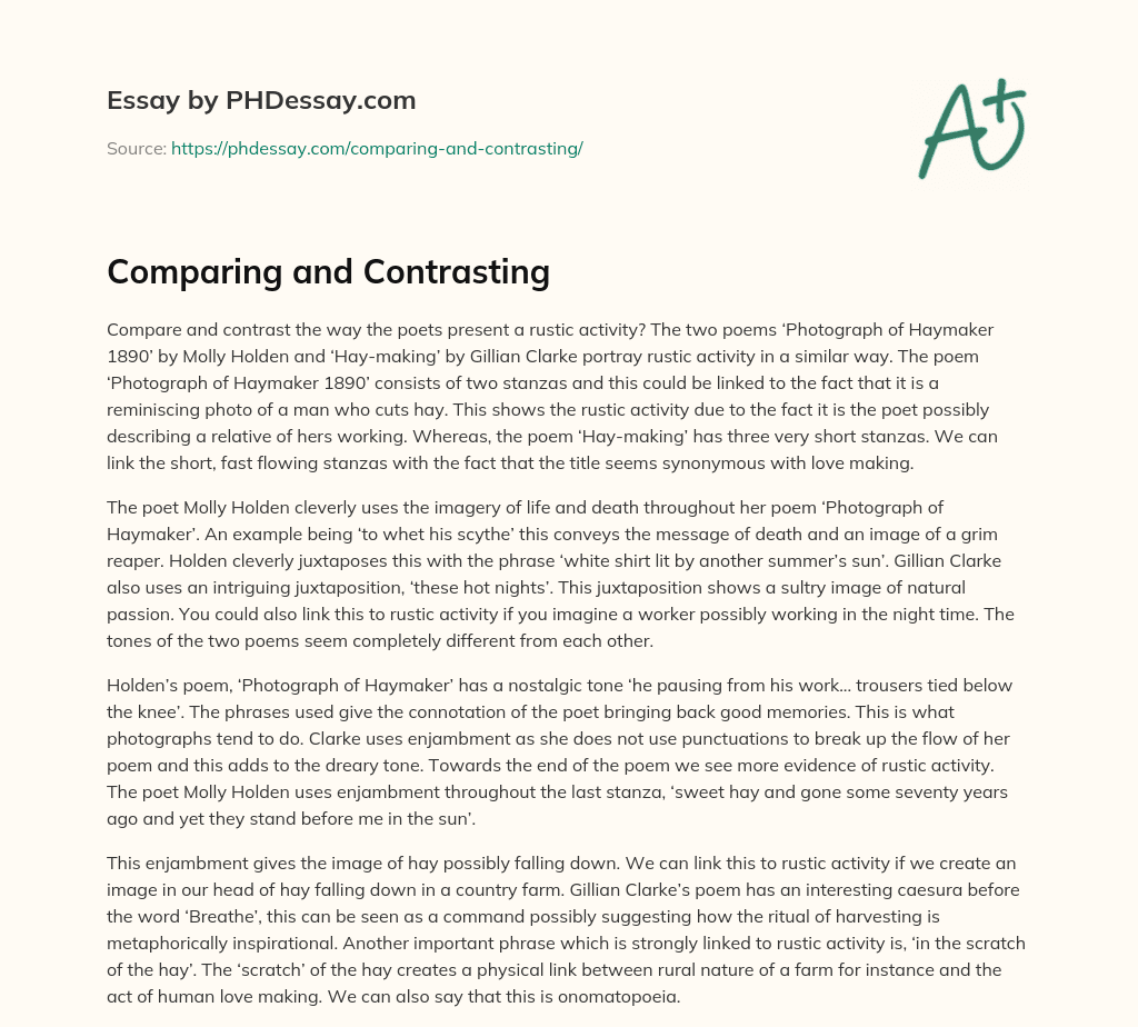 Comparing and Contrasting essay
