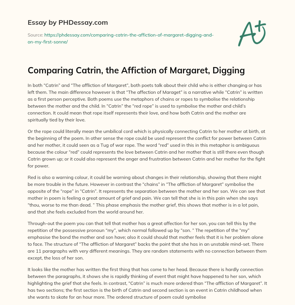 Comparing Catrin, the Affiction of Margaret, Digging essay