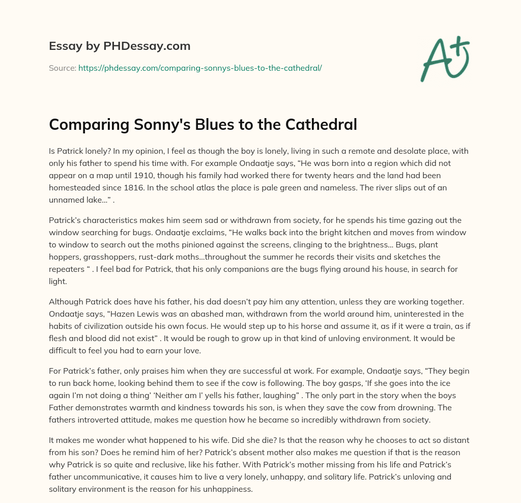 Comparing Sonny’s Blues to the Cathedral essay