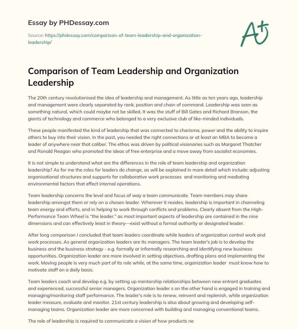 essay on team leadership and motivation