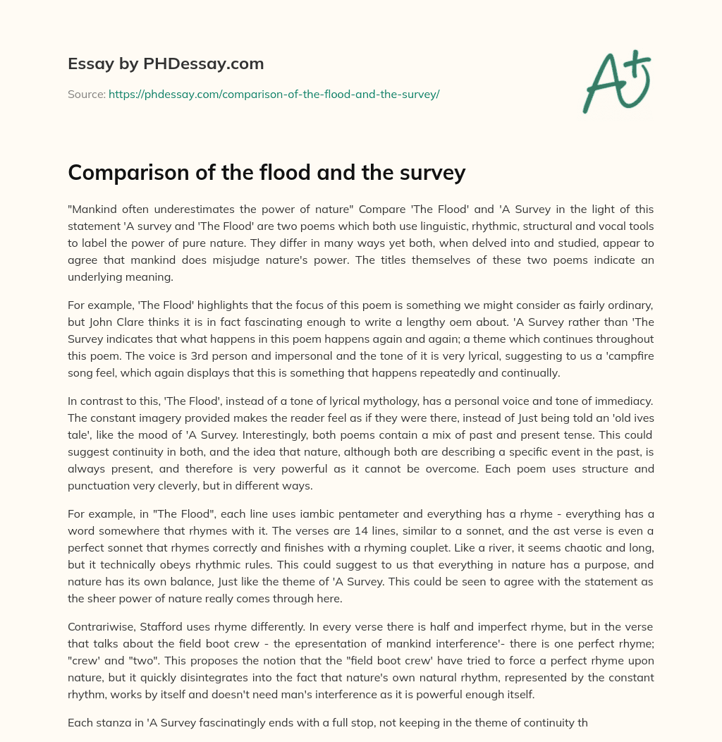Comparison of the flood and the survey essay