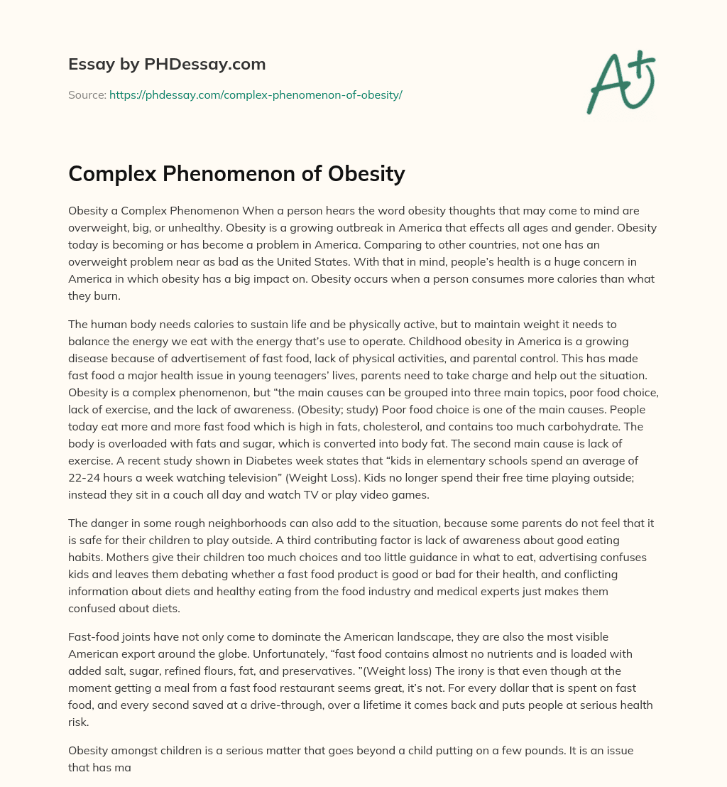 Complex Phenomenon of Obesity essay