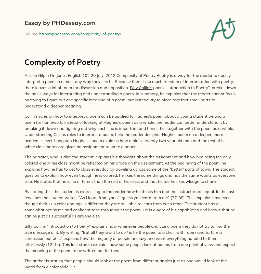 Complexity of Poetry essay