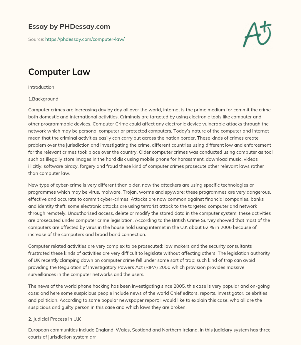 Computer Law essay