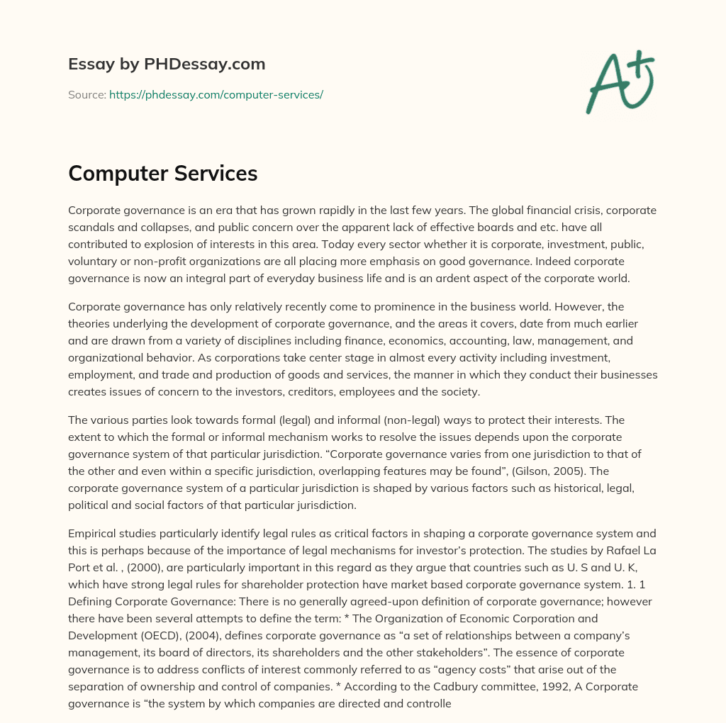 Computer Services essay