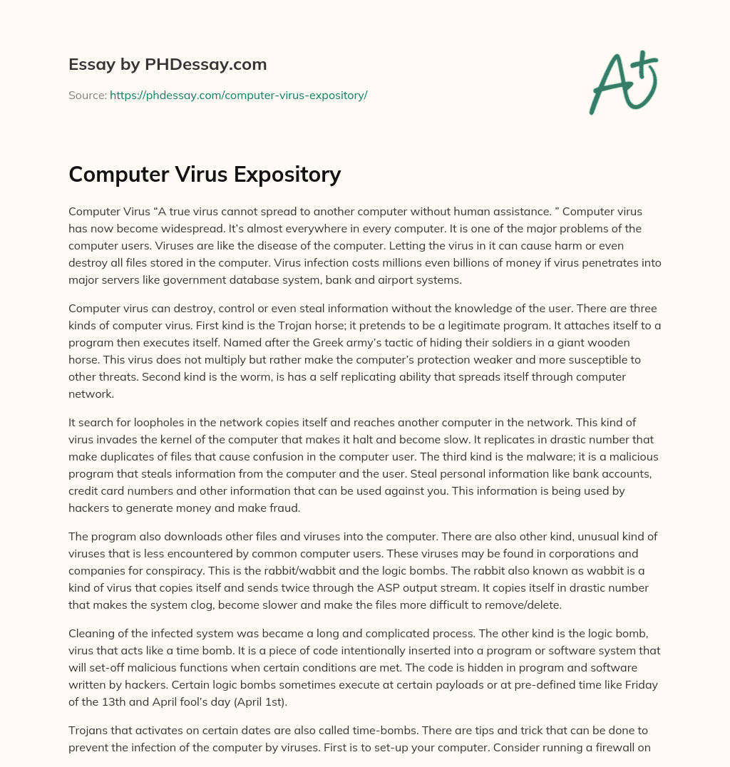Computer Virus Expository essay