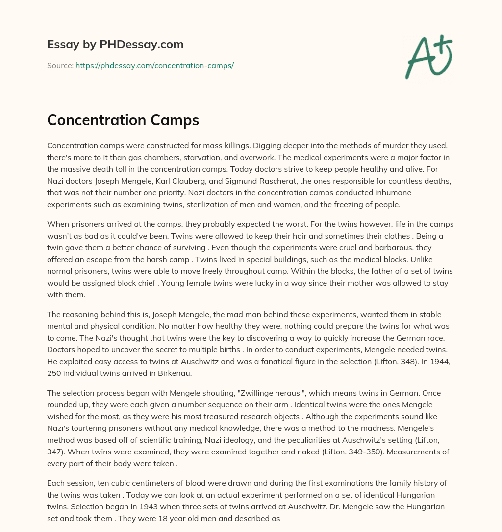 Concentration Camps essay