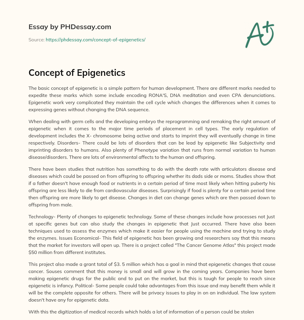 Concept of Epigenetics essay