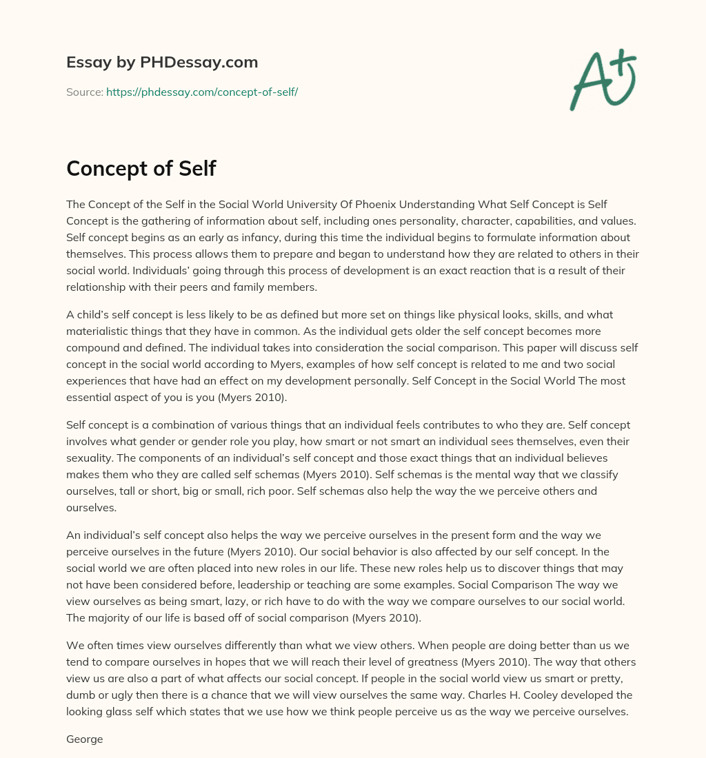 Concept of Self essay