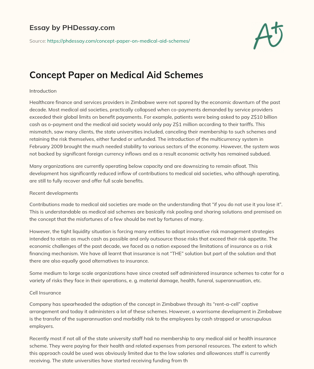 Concept Paper on Medical Aid Schemes essay