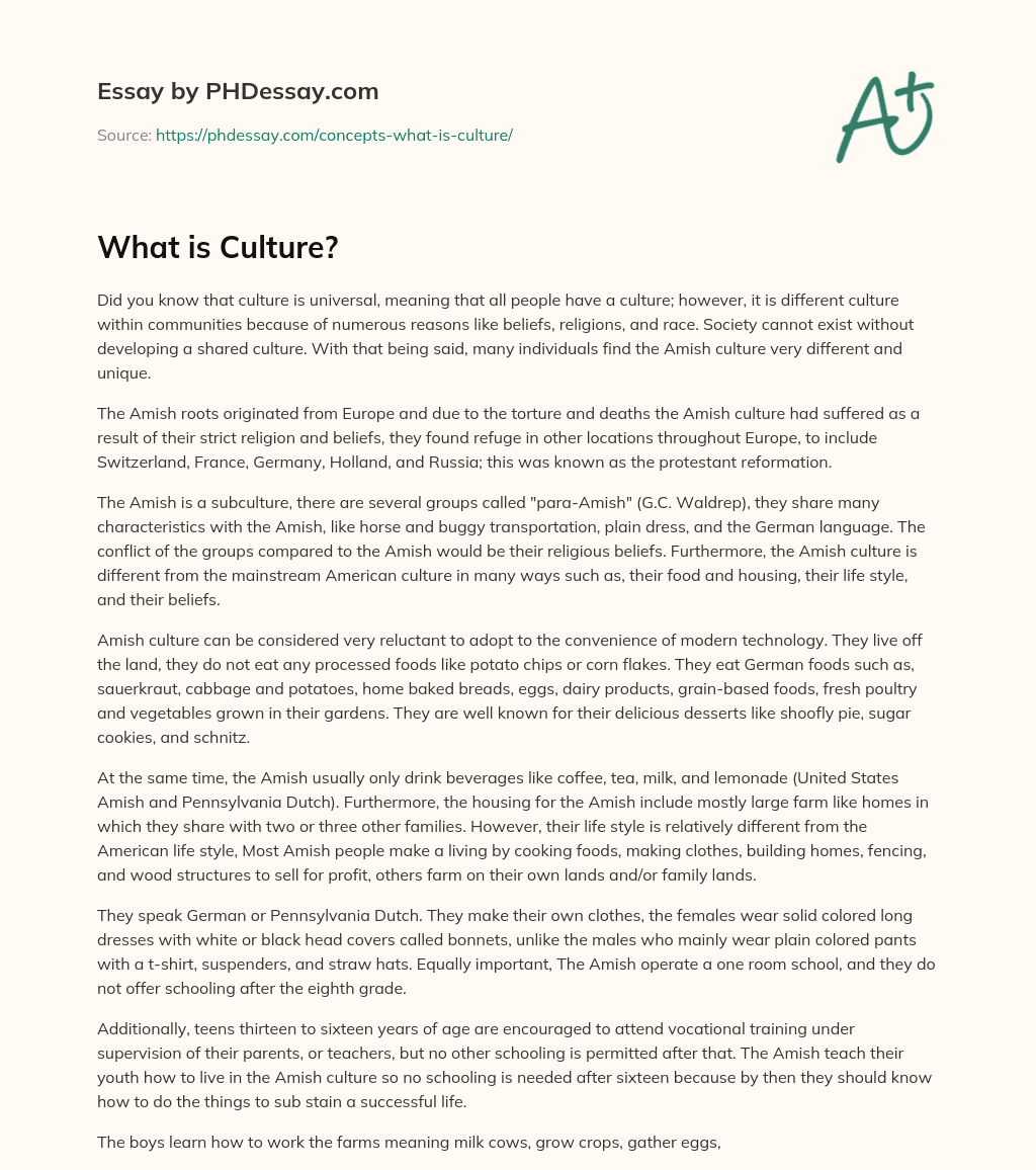 what is your culture essay