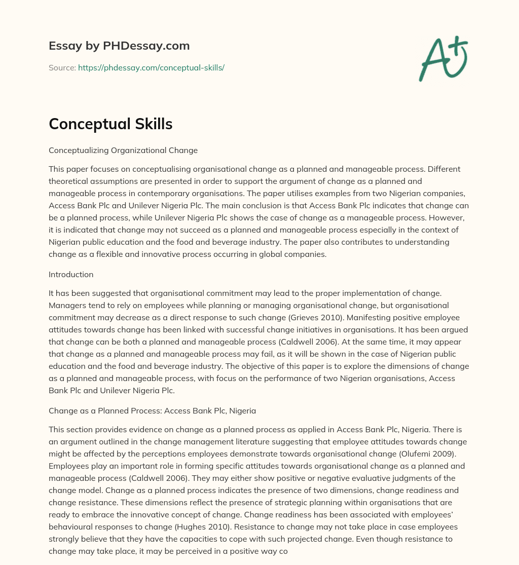 conceptual skills essay