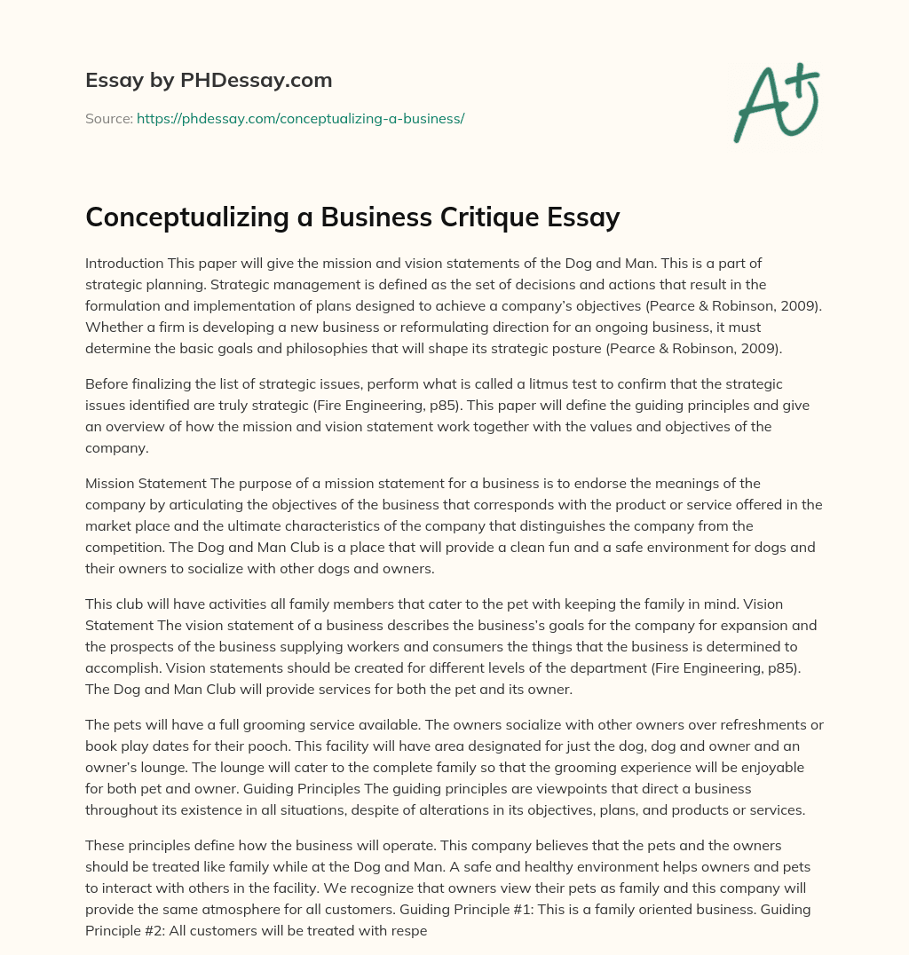 Conceptualizing a Business Critique Essay essay