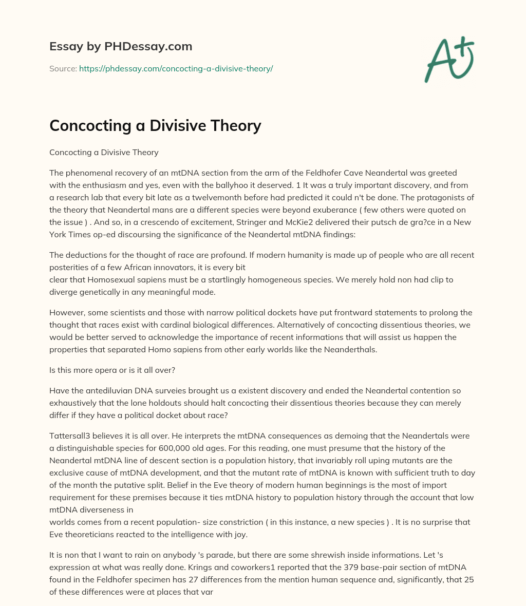 Concocting a Divisive Theory essay