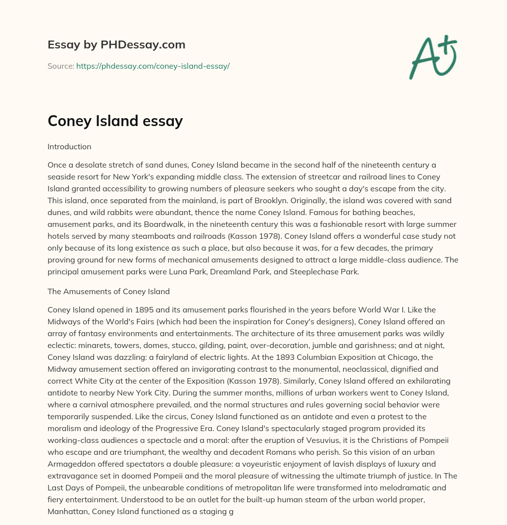 Coney Island essay essay