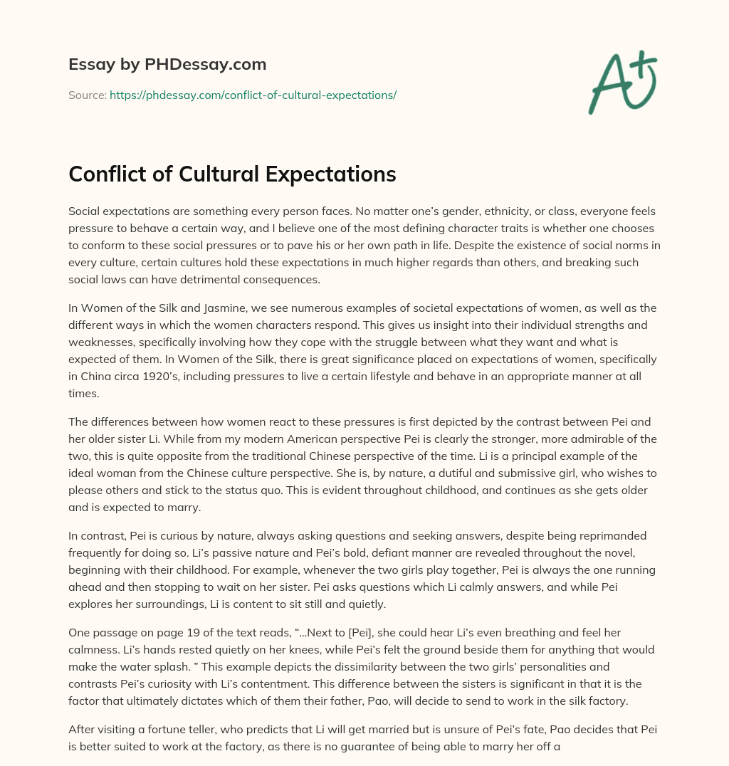 Conflict of Cultural Expectations essay