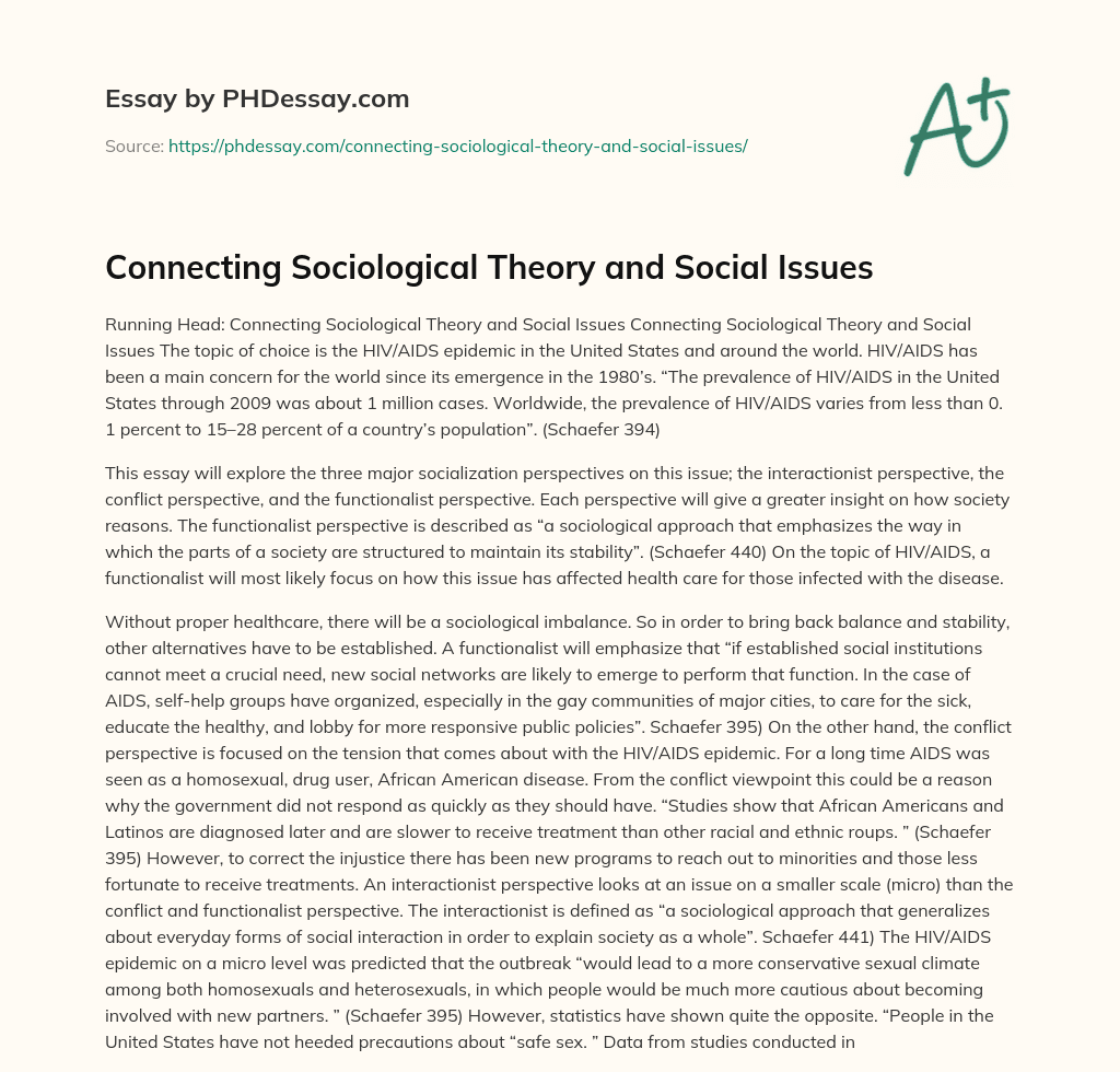 Connecting Sociological Theory and Social Issues essay
