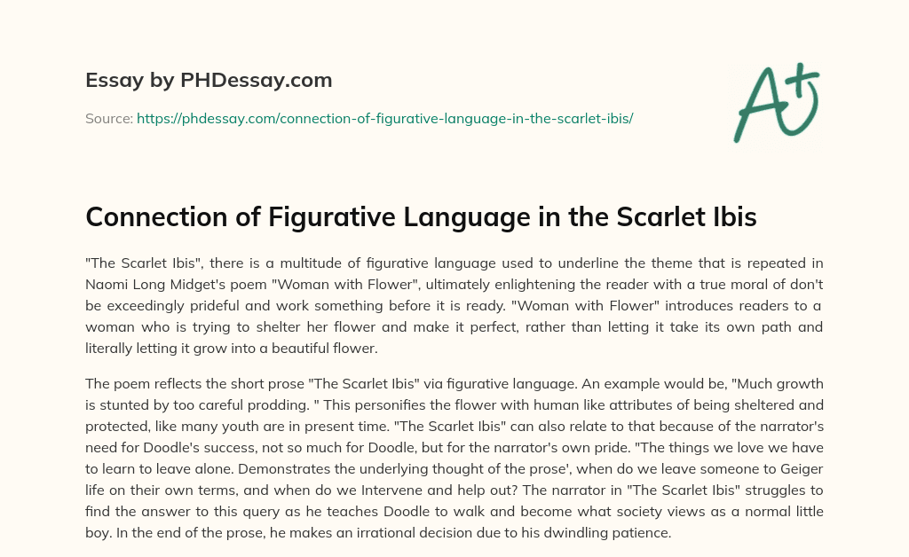 Connection of Figurative Language in the Scarlet Ibis essay