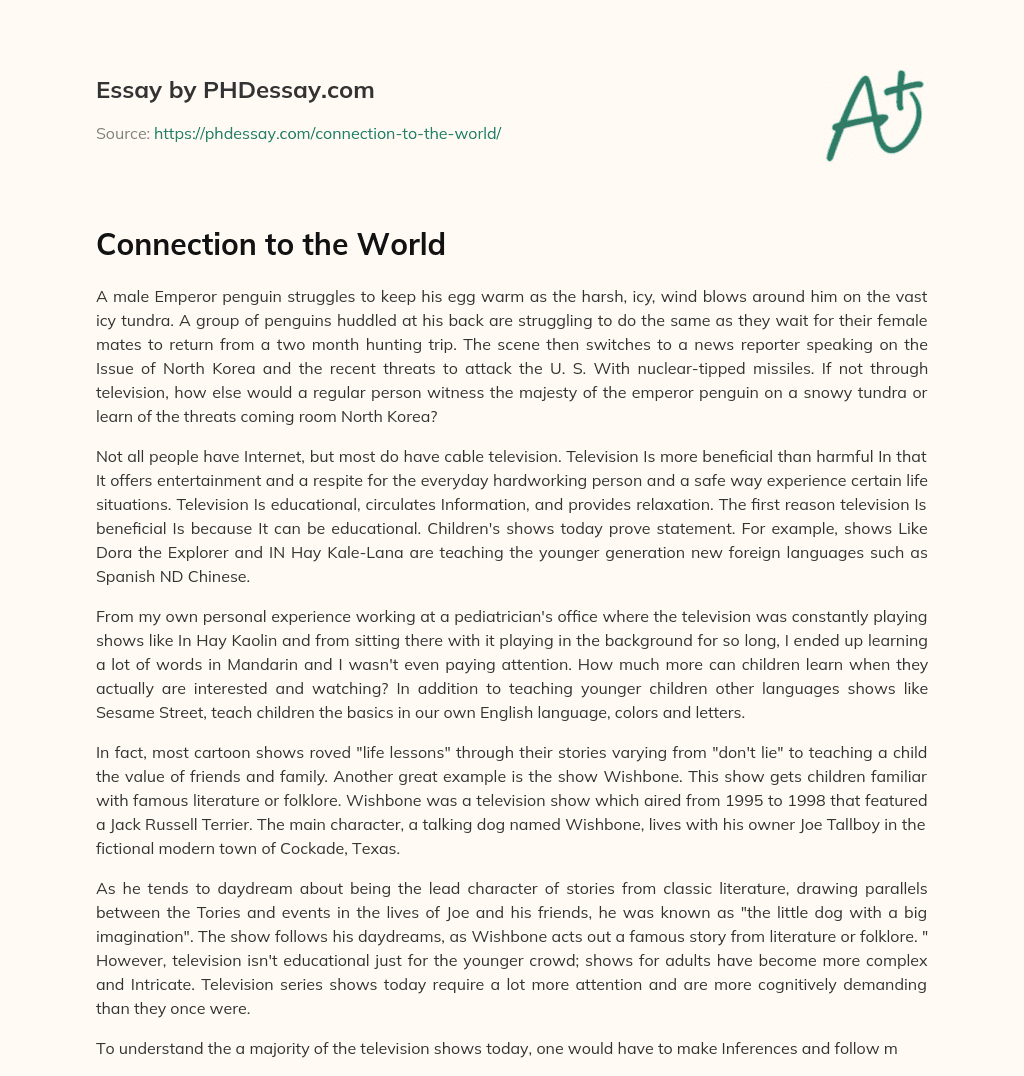 Connection to the World essay