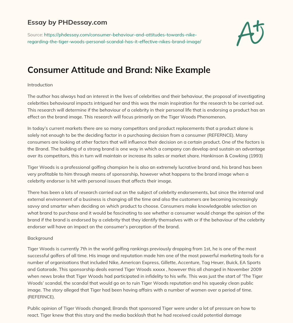 Consumer Attitude and Brand: Nike Example essay