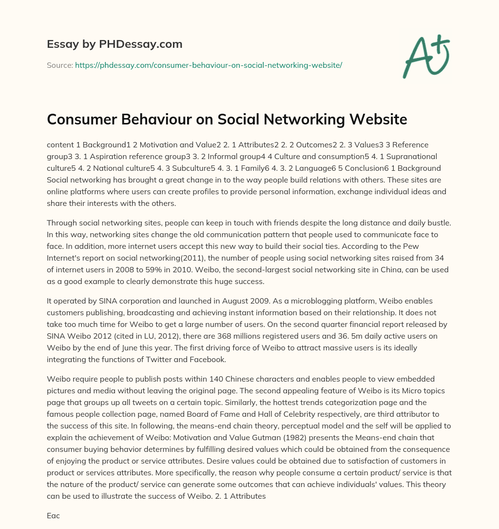 Consumer Behaviour on Social Networking Website essay
