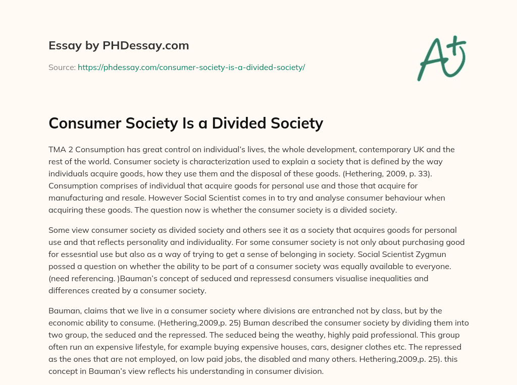 Consumer Society Is a Divided Society essay