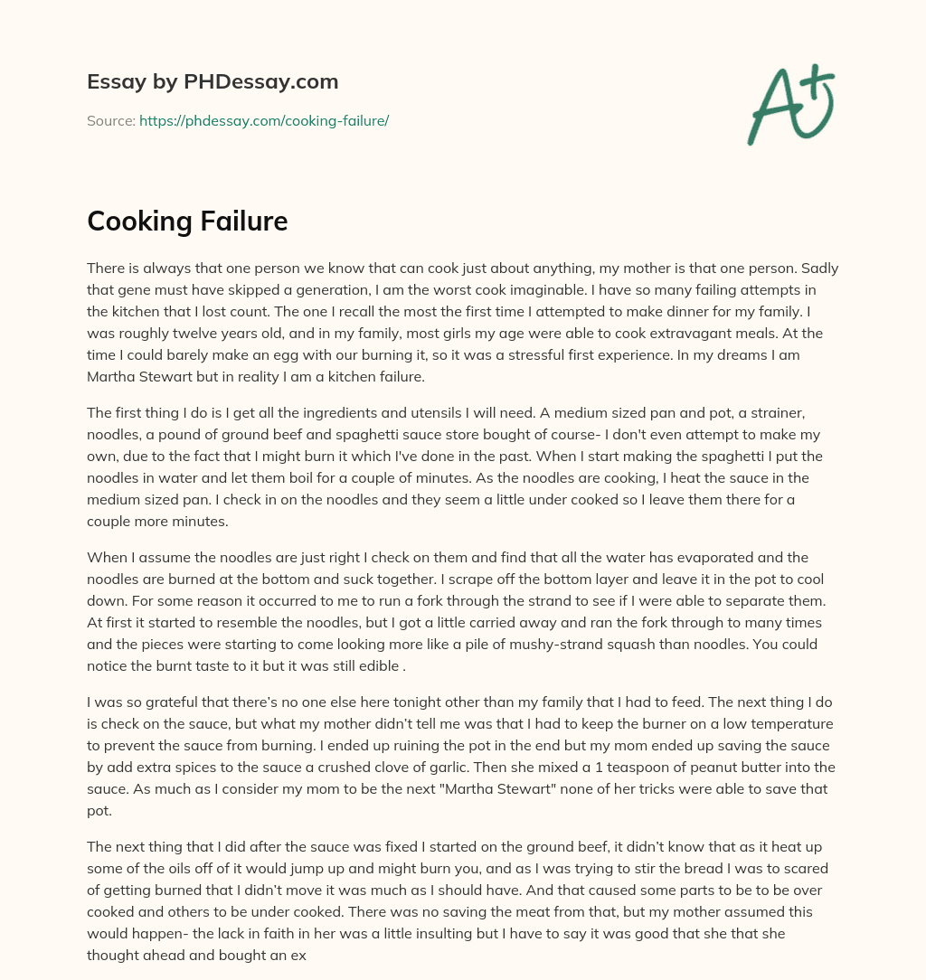Cooking Failure essay