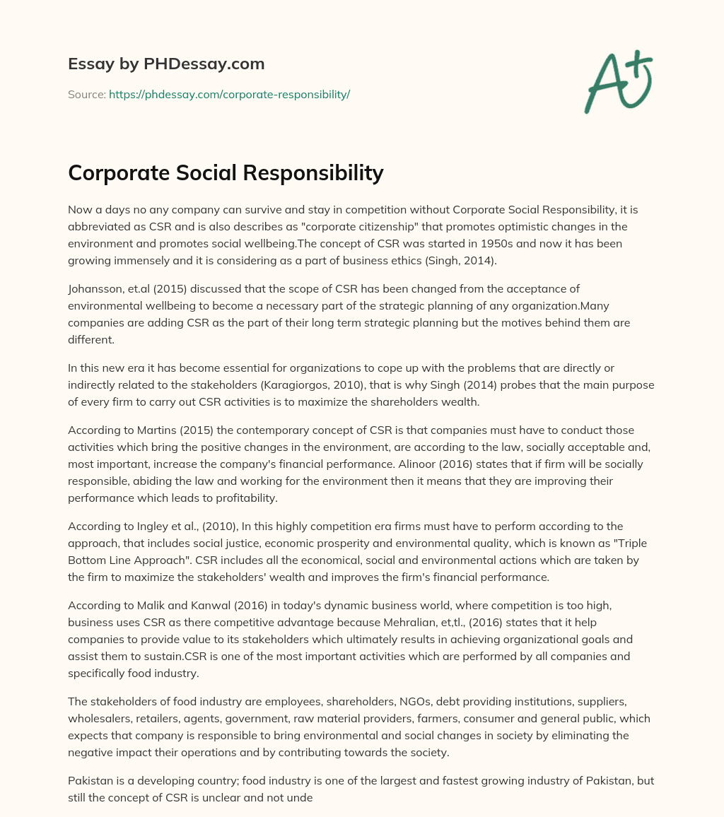 Corporate Social Responsibility essay