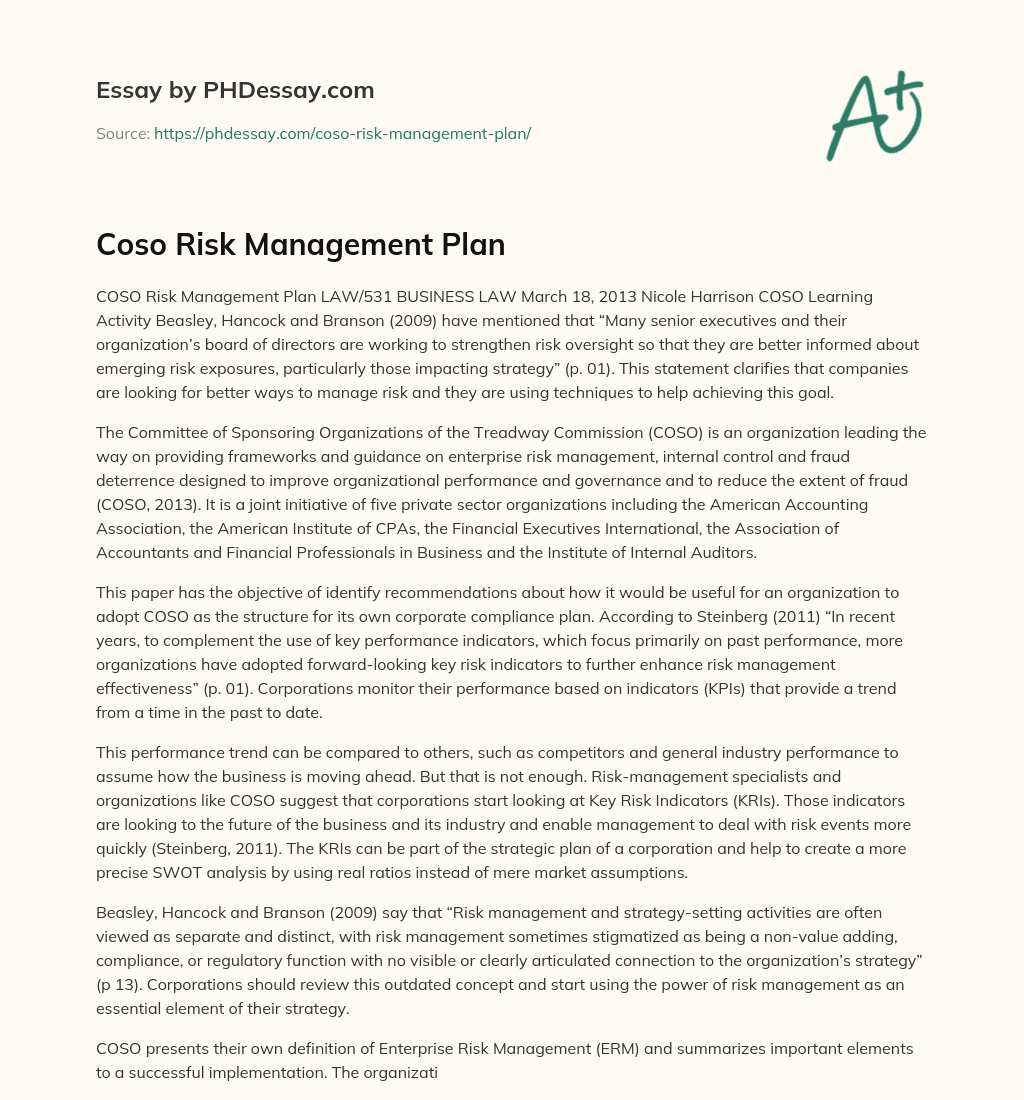 COSO Risk Management Plan essay