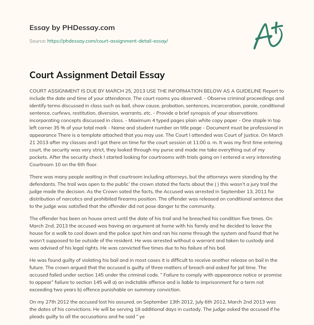 Court Assignment Detail Essay essay
