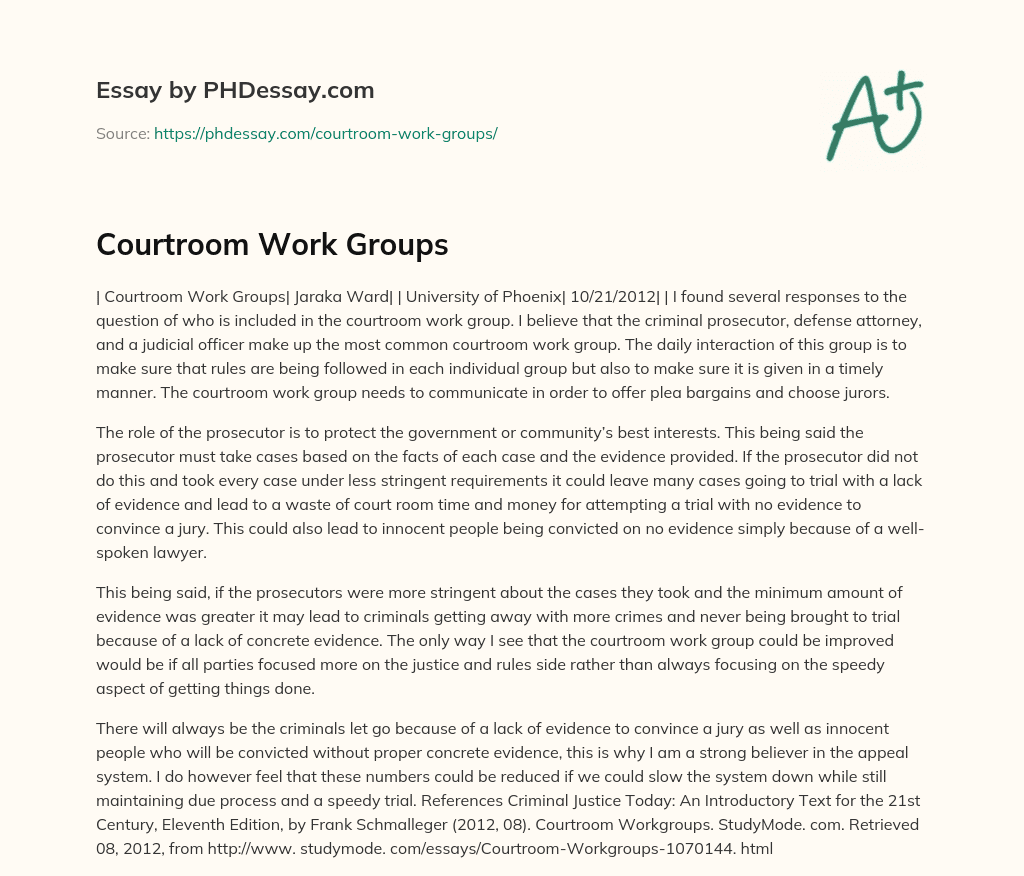 Courtroom Work Groups essay