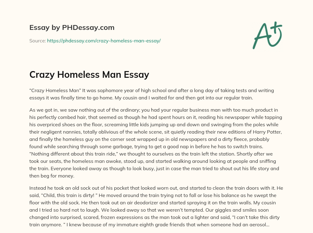 Crazy Homeless Man Essay essay