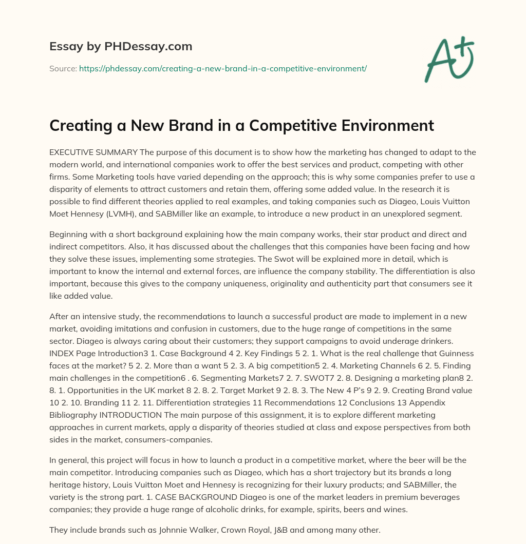 Creating a New Brand in a Competitive Environment essay