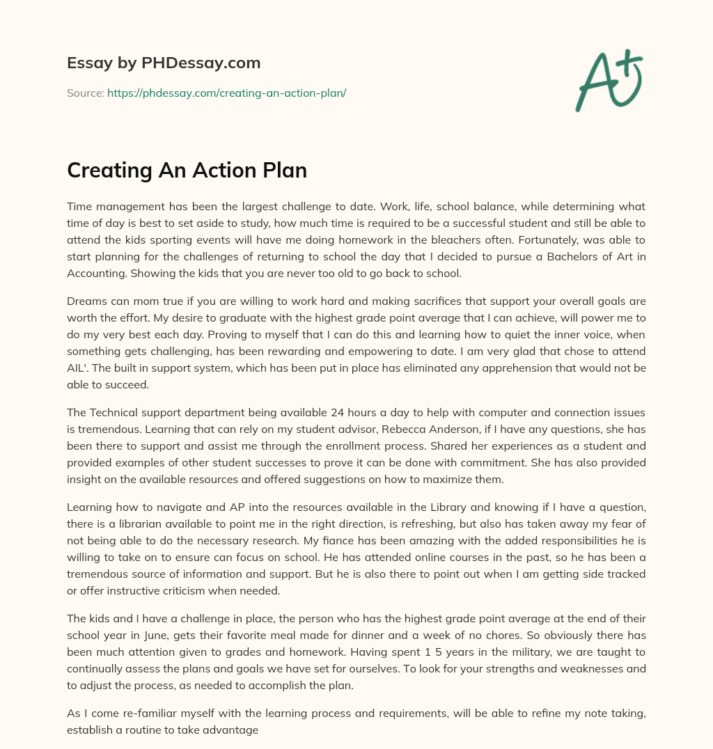 Creating An Action Plan essay