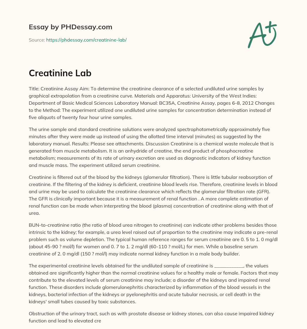 Creatinine Lab essay