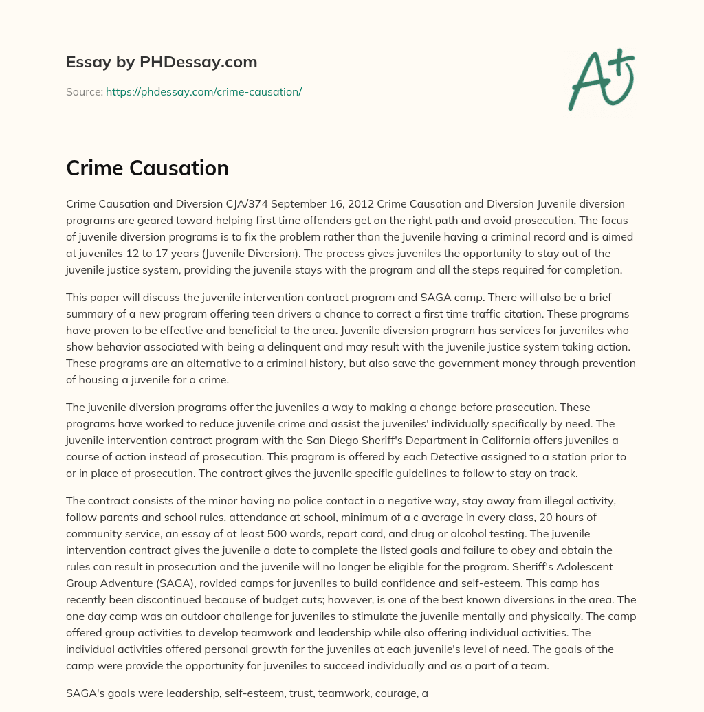 Crime Causation essay