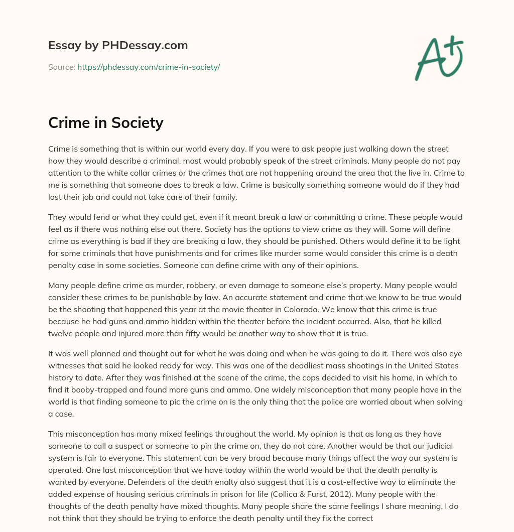 Crime in Society essay