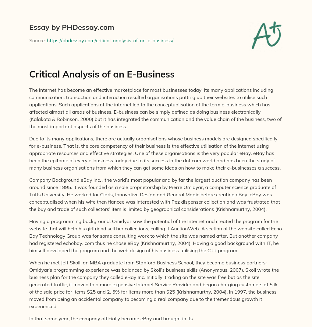 Critical Analysis of an E-Business essay