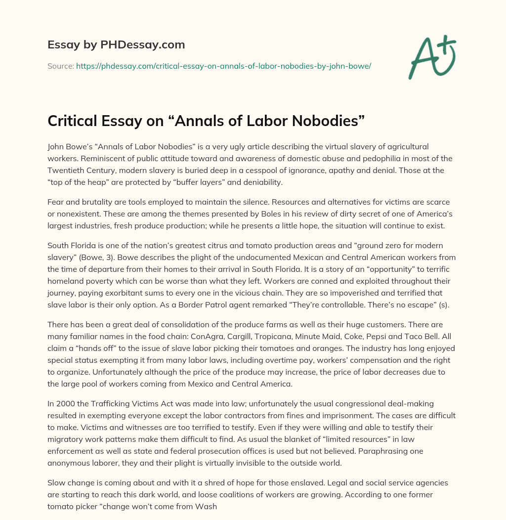 Critical Essay on “Annals of Labor Nobodies” essay