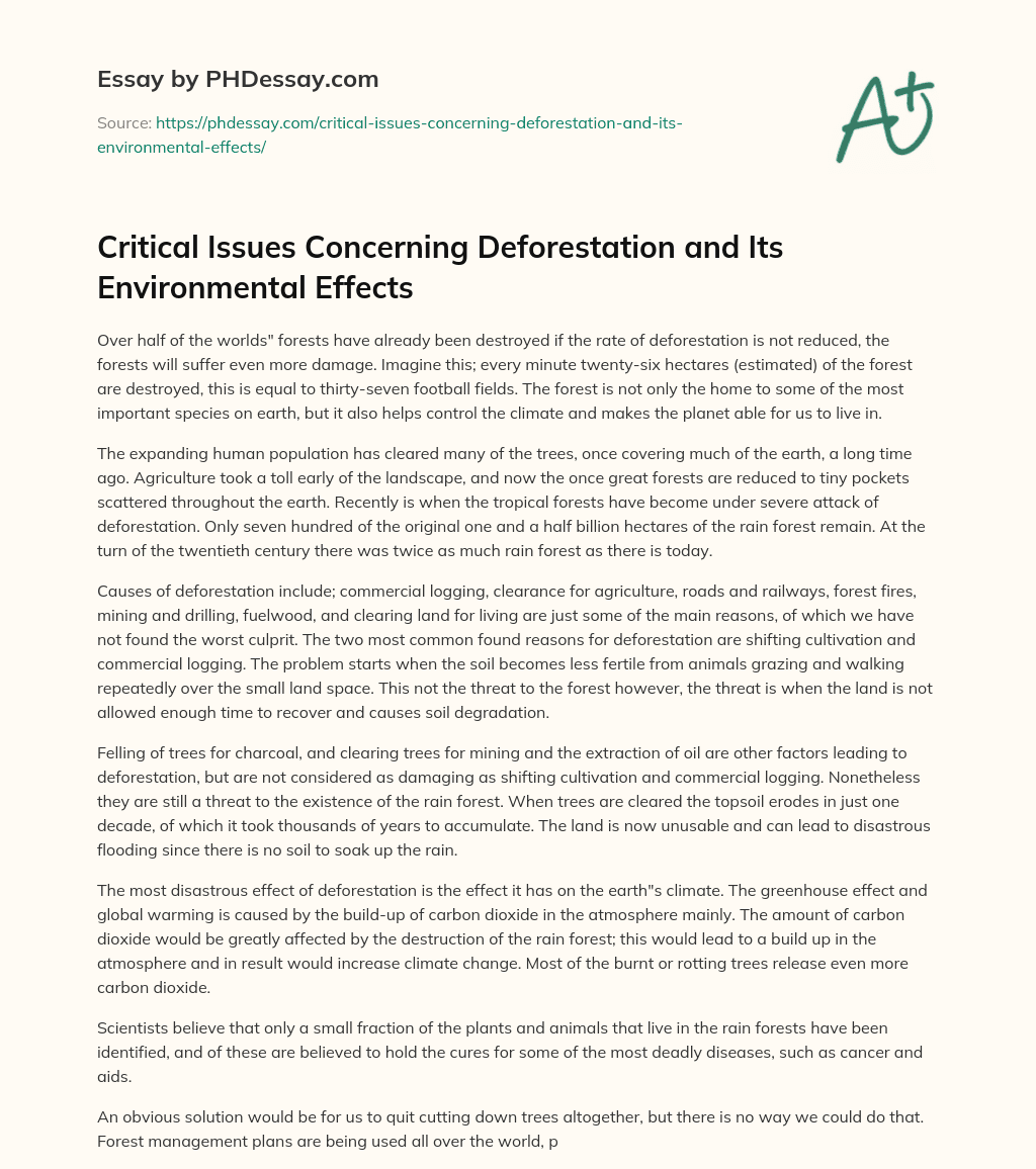 Critical Issues Concerning Deforestation and Its Environmental Effects essay