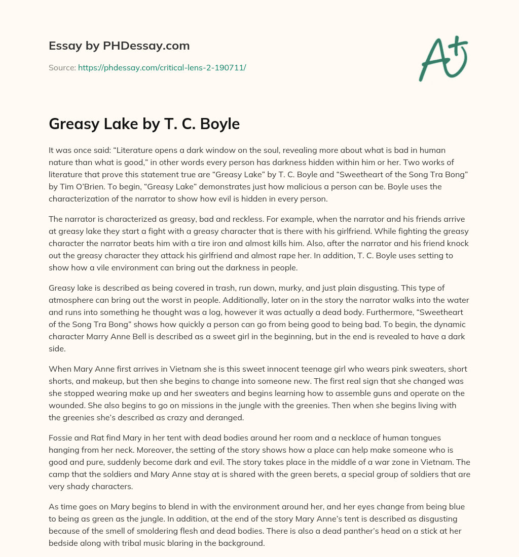 Greasy Lake by T. C. Boyle essay