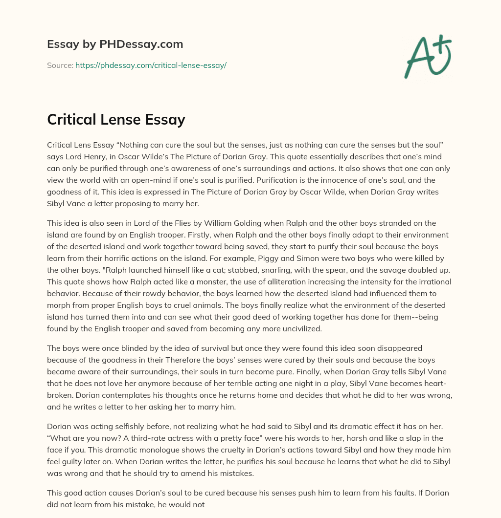 Critical Lense Essay essay
