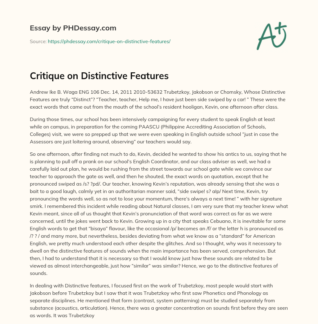 Critique on Distinctive Features essay