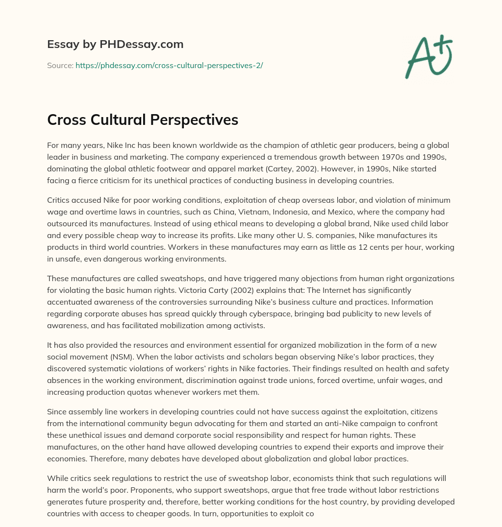 Cross Cultural Perspectives essay
