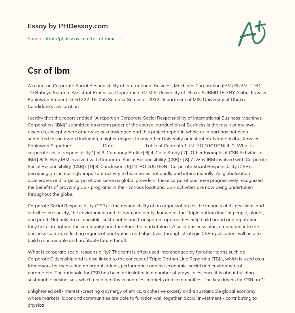 Report on IBM’s Corporate Social Responsibility (CSR) activities essay