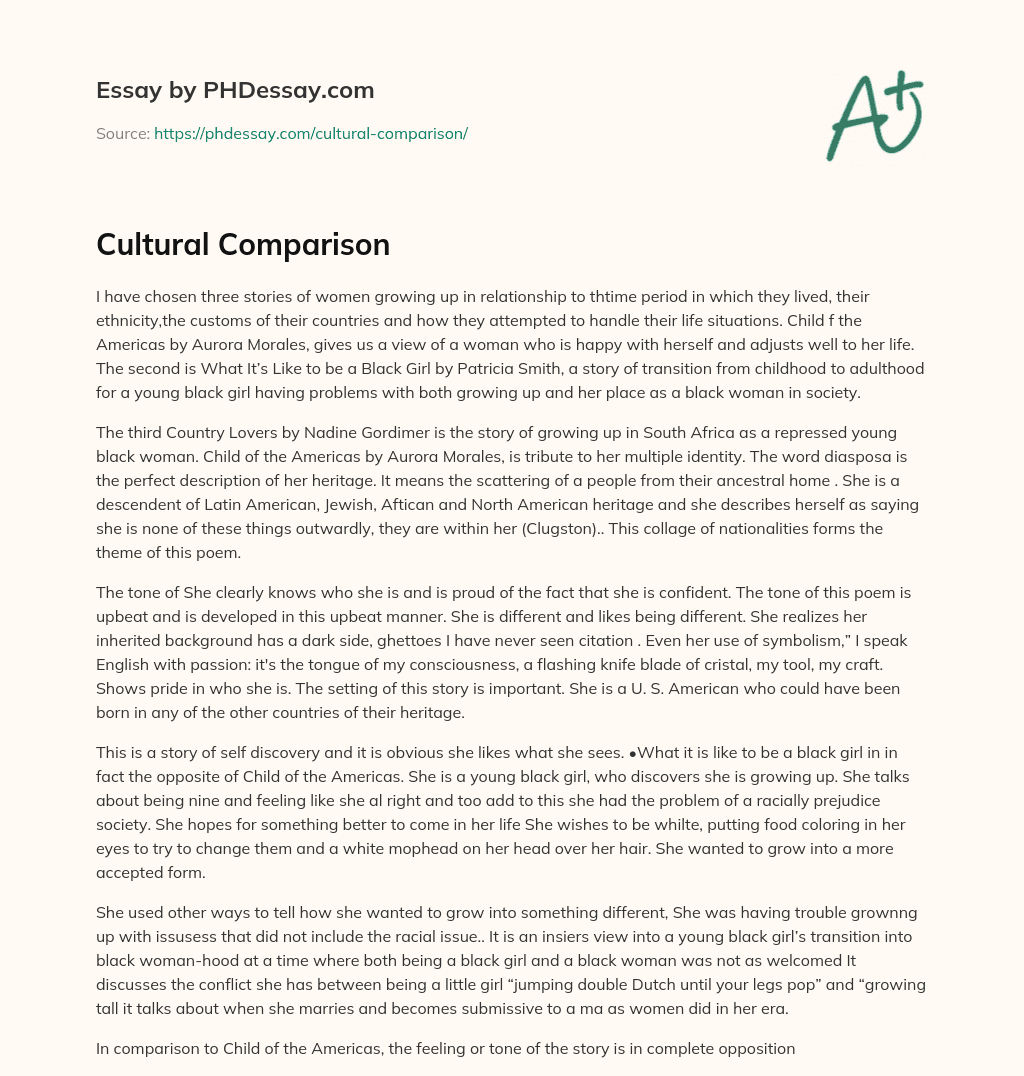Cultural Comparison essay