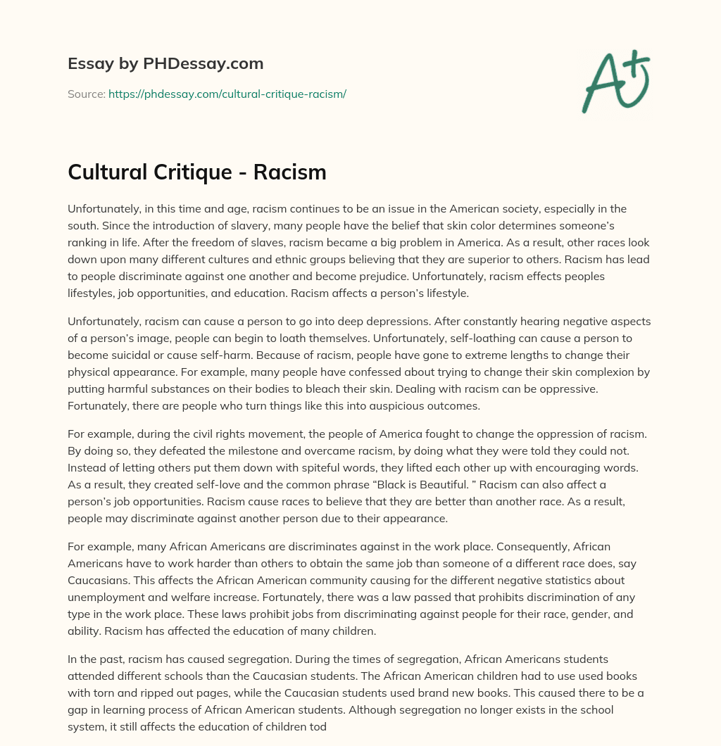 Cultural Critique – Racism essay
