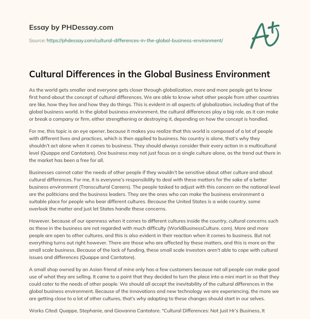Cultural Differences in the Global Business Environment essay