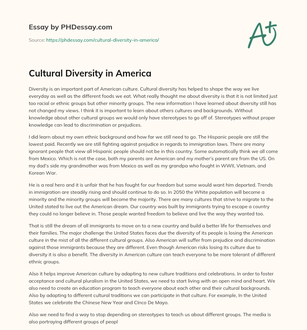 Cultural Diversity in America essay