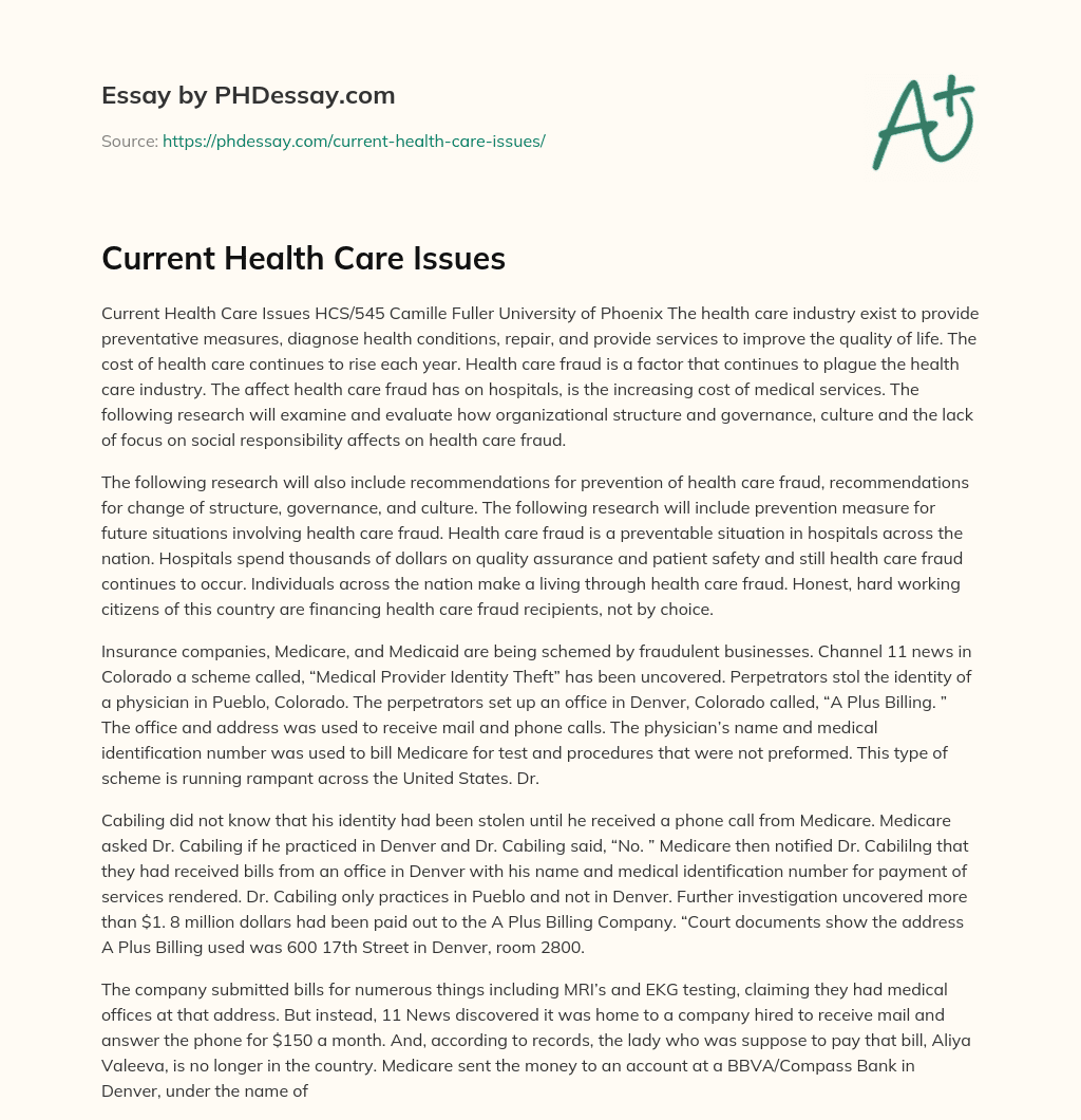 Current Health Care Issues essay
